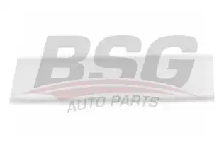 BSG 65924008 Kapı Bandı Arka Sol