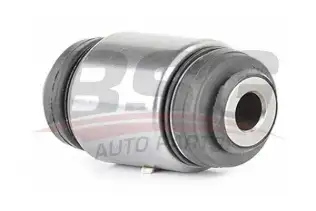 BSG 15700020 Yağlı Burç Arka