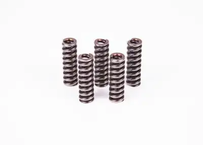 BOSCH 2434614022 Basınç Yayı - 4. Görsel