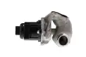 Egr Valfi  AISIN EGRAZ-7001