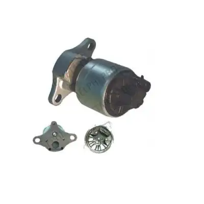 DELPHI EG1000412B1 Egr Valfi - 2. Görsel