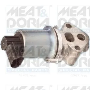Egr Valfi  BARCHA 06A131501F