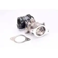 DELPHI EG1039612B1 Egr Valfi - 2. Görsel