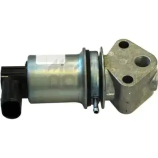 Egr Valfi  DODUCO 44039