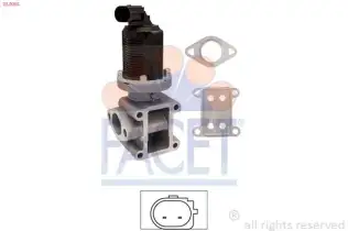 Egr Valfi  FACET 23.0055
