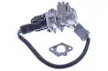 Egr Valfi  FEBI BILSTEIN 36750