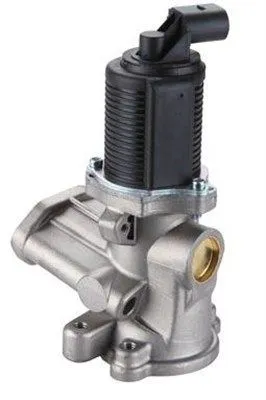 Egr Valfi  MAGNETI MARELLI 359000604410