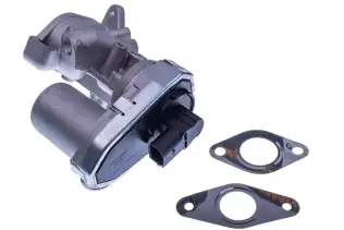 Egr Valfi  SWAPP 51266