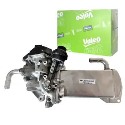 VALEO 700435 Egr Valfi - 1. Görsel