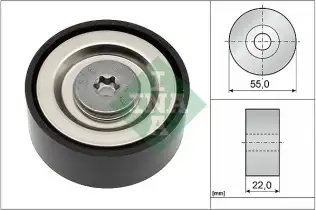 INA 532072010 V Kayış Gergi Kasnağı