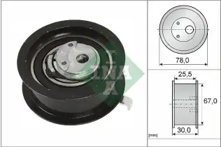 INA 531025130 Eksantrik Gergi Rulmanı
