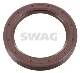Eksantrik Keçesi  SWAG 33 10 4253