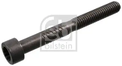 Eksantrik Mili Civatası  FEBI BILSTEIN 100729 - 1. Görsel