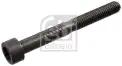 Eksantrik Mili Civatası  FEBI BILSTEIN 100729