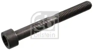 Eksantrik Mili Civatası  FEBI BILSTEIN 100729