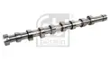 Eksantrik Mili  FEBI BILSTEIN 172680