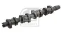 Eksantrik Mili  FEBI BILSTEIN 33193