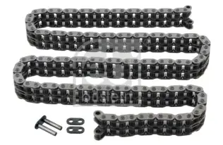 FEBI BILSTEIN 25211 Eksantrik Zinciri