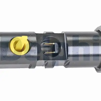 Enjeksiyon Supabı DELPHI R01101D-12B1 - 2. Görsel