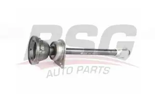 BSG 90350021 Aks Mili
