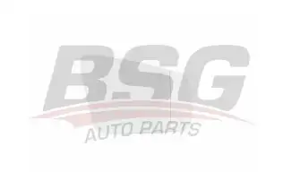 BSG 60910041 Ayna Camı Sağ