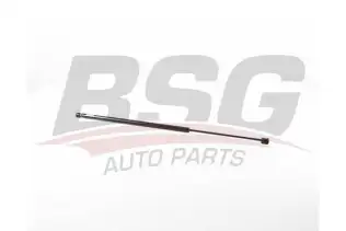 BSG 75980030 Bagaj Amortisörü