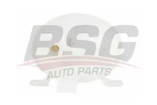 BSG 65550012 Radyatör Yedek Su Deposu