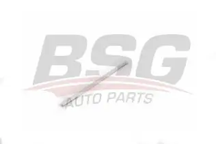 BSG 90924048 Kapı Bandı Arka Sol