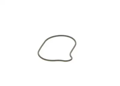 BOSCH 2440210028 O-Ring - 12. Görsel