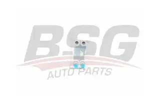 BSG 30506003 Yağ Soğutucu Radyatörü