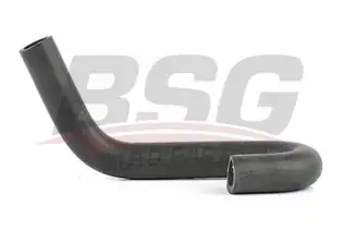 BSG 65720083 Termostat Hortumu