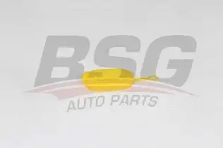 BSG 75922004 Silecek Su Depo Kapağı
