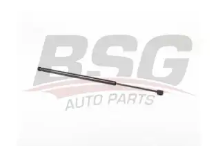 BSG 15980072 Bagaj Amortisörü