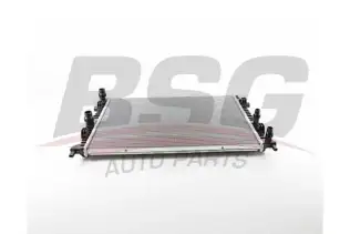 BSG 90520035 Su Radyatörü