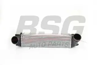 BSG 15535001 Turbo Radyatörü