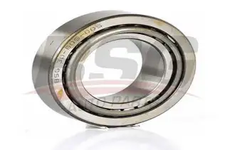 BSG 30605005 Porya Rulmanı Ön