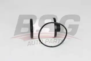 BSG 25130006 Yakıt Filtresi