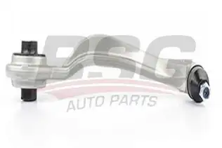 BSG 60310135 Rotilli Kol Sağ