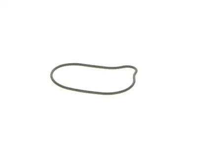BOSCH 2440210028 O-Ring - 6. Görsel