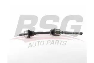 BSG 15350020 Aks Komple Ön Sağ