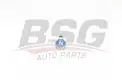 BSG 75310044 Rotil Alt
