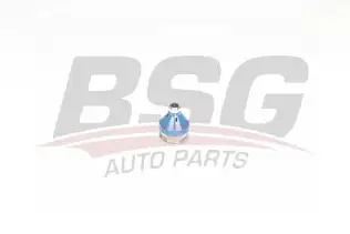 BSG 75310044 Rotil Alt