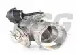 BSG 90836013 Egr Valfi