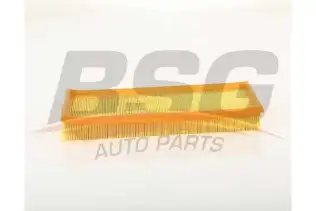 BSG 30135042 Hava Filtresi