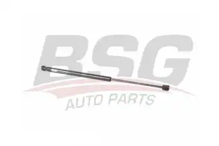 BSG 25980021 Bagaj Amortisörü