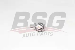 BSG 90125007 Termostat