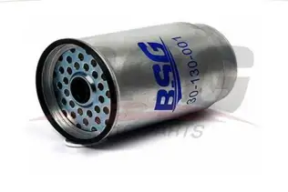 BSG 30130001 Yakıt Filtresi