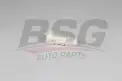 BSG 90700173 Amortisör Lastiği Arka