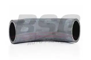 BSG 60720023 Turbo Hortumu