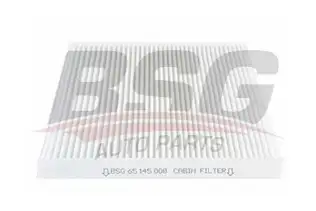 BSG 65145008 Polen Filtresi